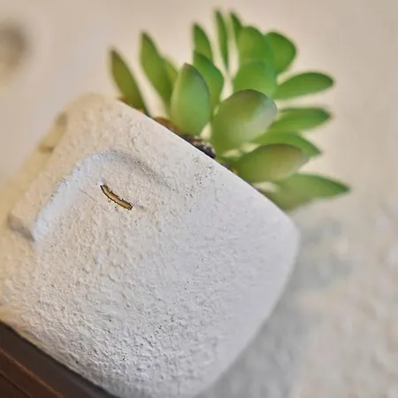 Les Deux Estrades Confort, Panache Et Netflix Cholet