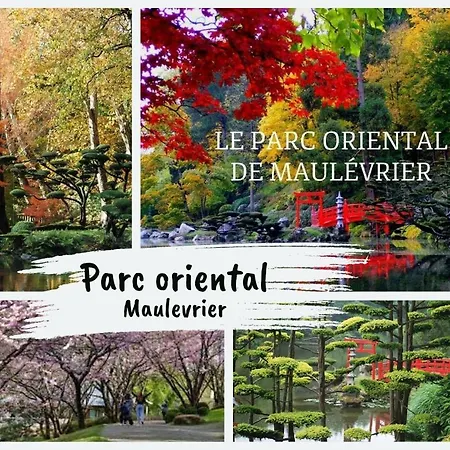 Les Deux Estrades Confort, Panache Et Netflix *