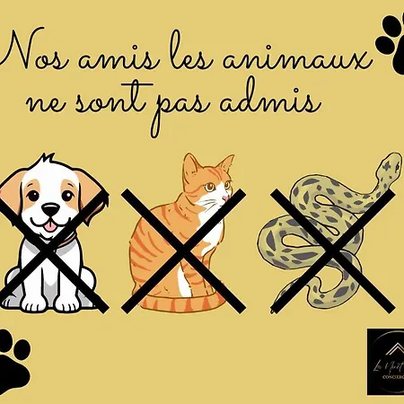 Les Deux Estrades Confort, Panache Et Netflix *