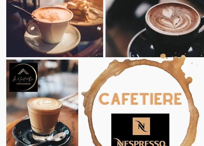 公寓 Les Deux Estrades Confort, Panache Et Netflix 绍莱