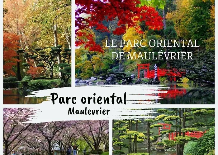 Les Deux Estrades Confort, Panache Et Netflix *