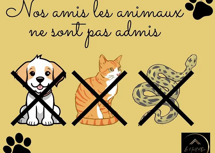 Les Deux Estrades Confort, Panache Et Netflix *